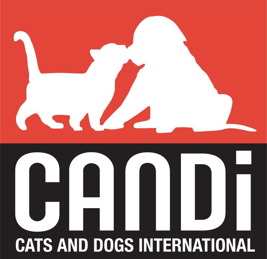CANDi